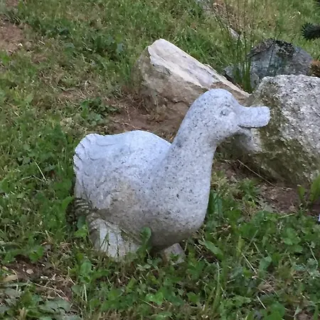Pontenuovo דירה